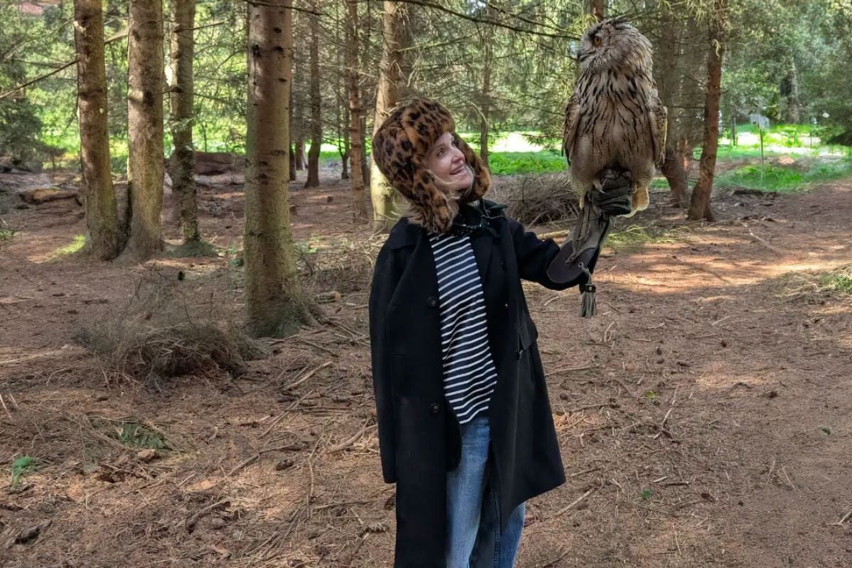 Half Day Bird of Prey Experience in Milton Keynes