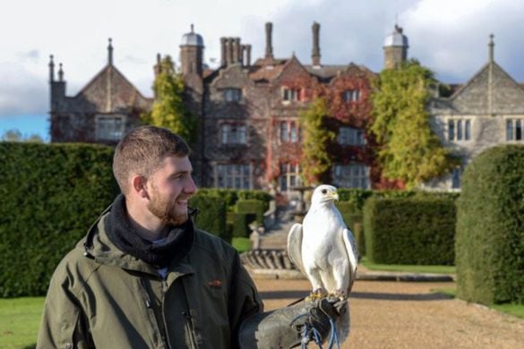 Half Day Falconry Experience - Kent