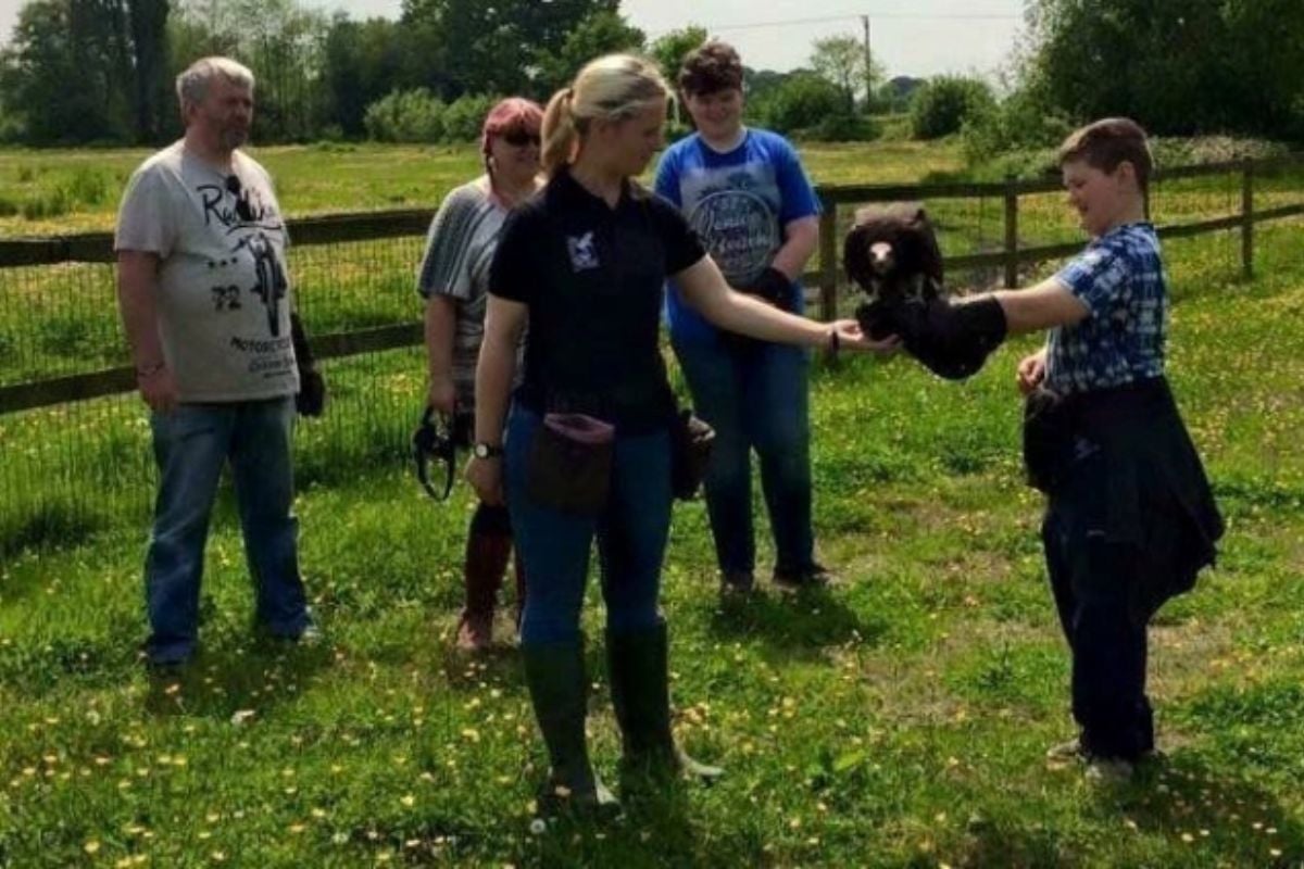 Half Day Falconry Experience Cheshire