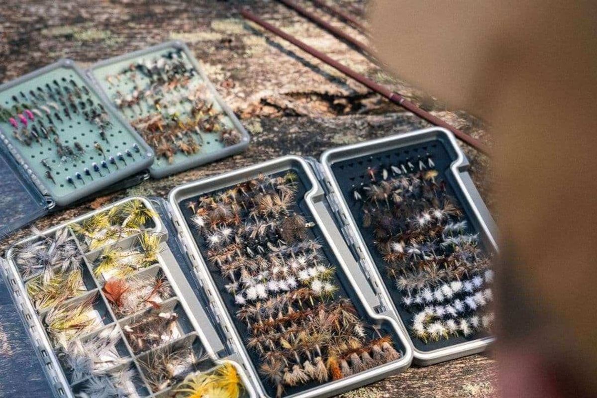 Half Day Exclusive Fly Fishing for One in Hampshire
