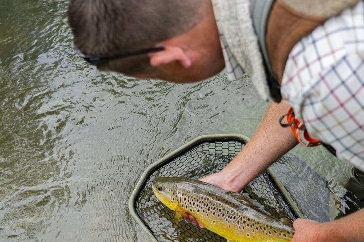 Half Day Exclusive Fly Fishing for One in Hampshire