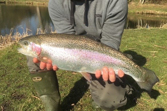 Fly Fishing Half Day Tuition - Buckinghamshire