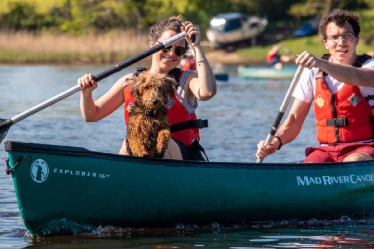 New Forest Canoeing Experience for Two in Hampshire