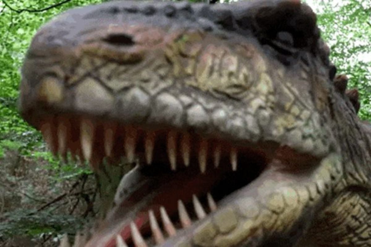 Entry Tickets to Hoo Zoo & Dinosaur World (Child Entry Ages 2-15)