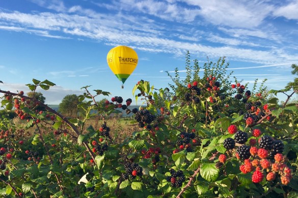 Hot Air Balloon Ride with Champagne - Taunton