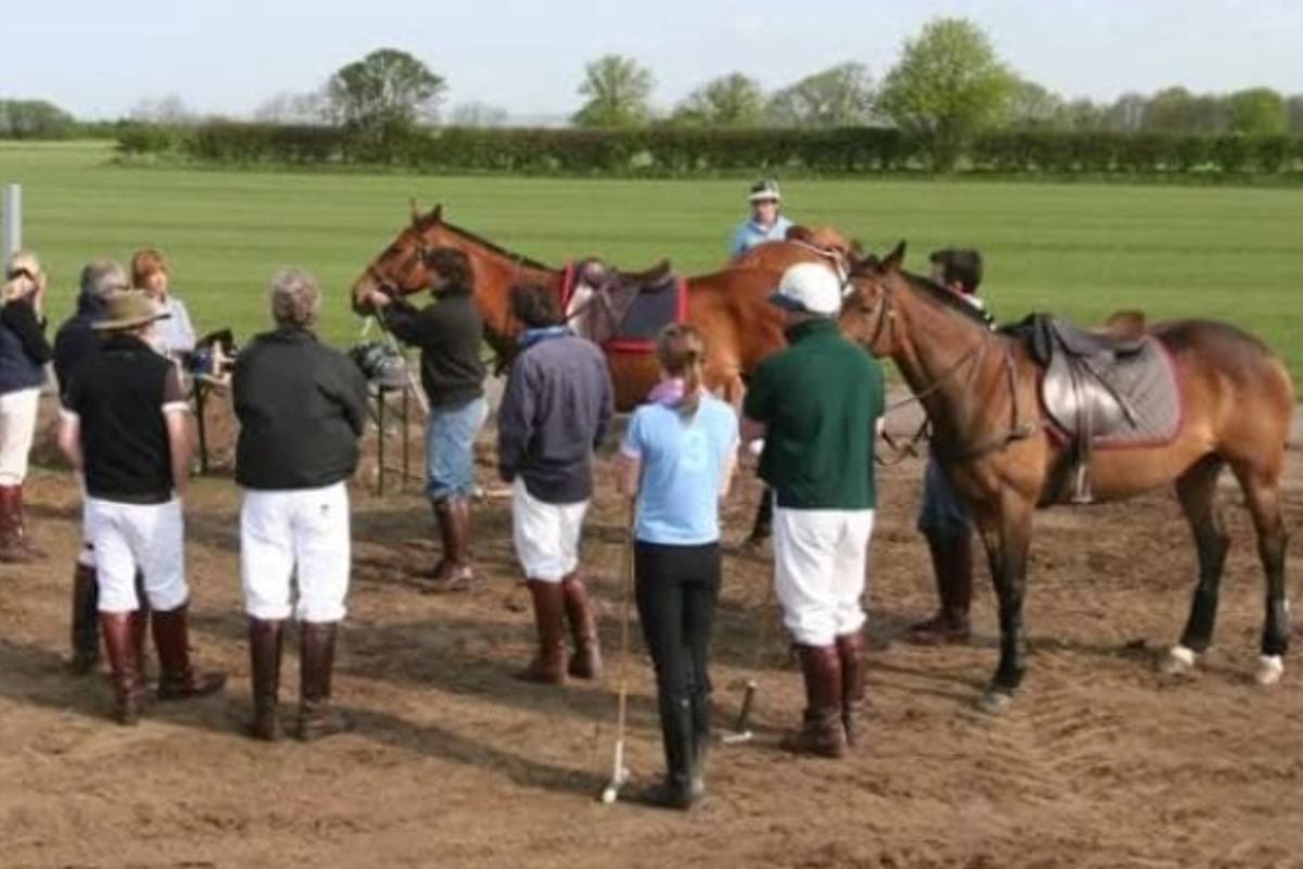 White Rose Polo Club Intro To Polo Experience in York