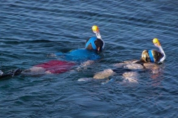 Introduction to Snorkelling Experience in Cheshire