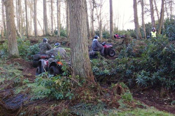 Jungle Quad Challenge
