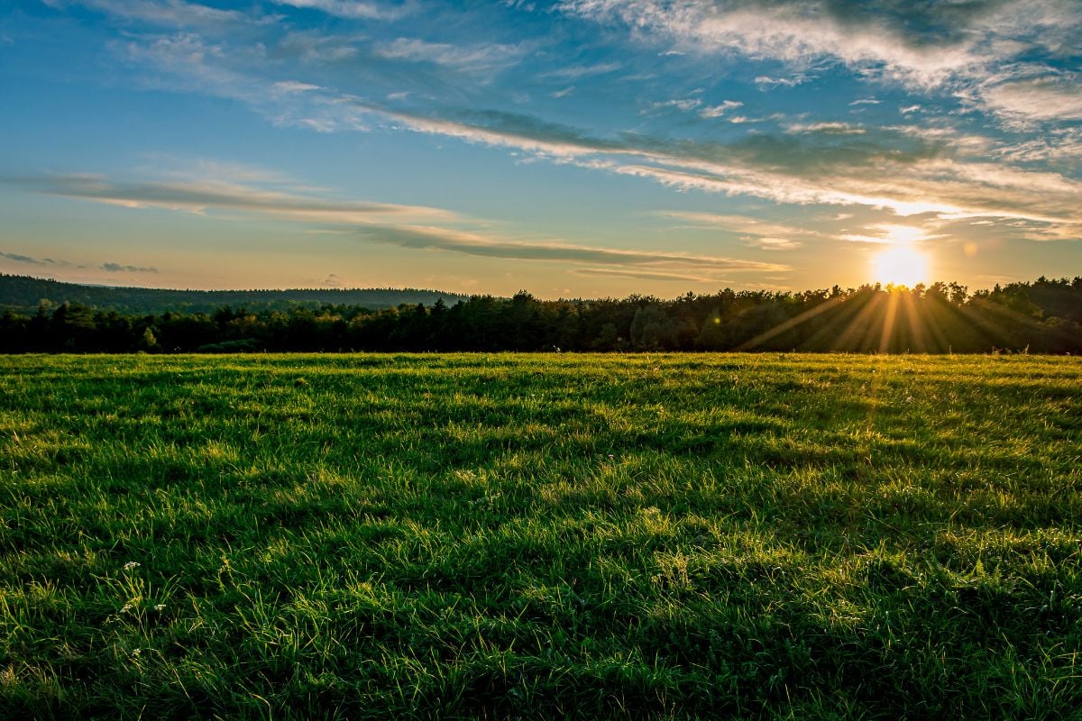 Junior Advanced Tractor Driving in Nottinghamshire (13+)
