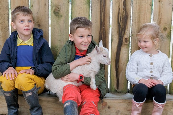 Junior Animal Keeper Experience for Three - East Sussex