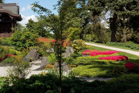 Kew Gardens and Palace Experience in London