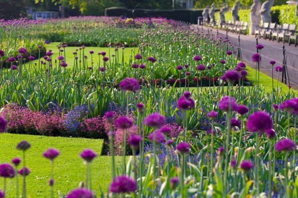 Kew Gardens and Palace Experience in London