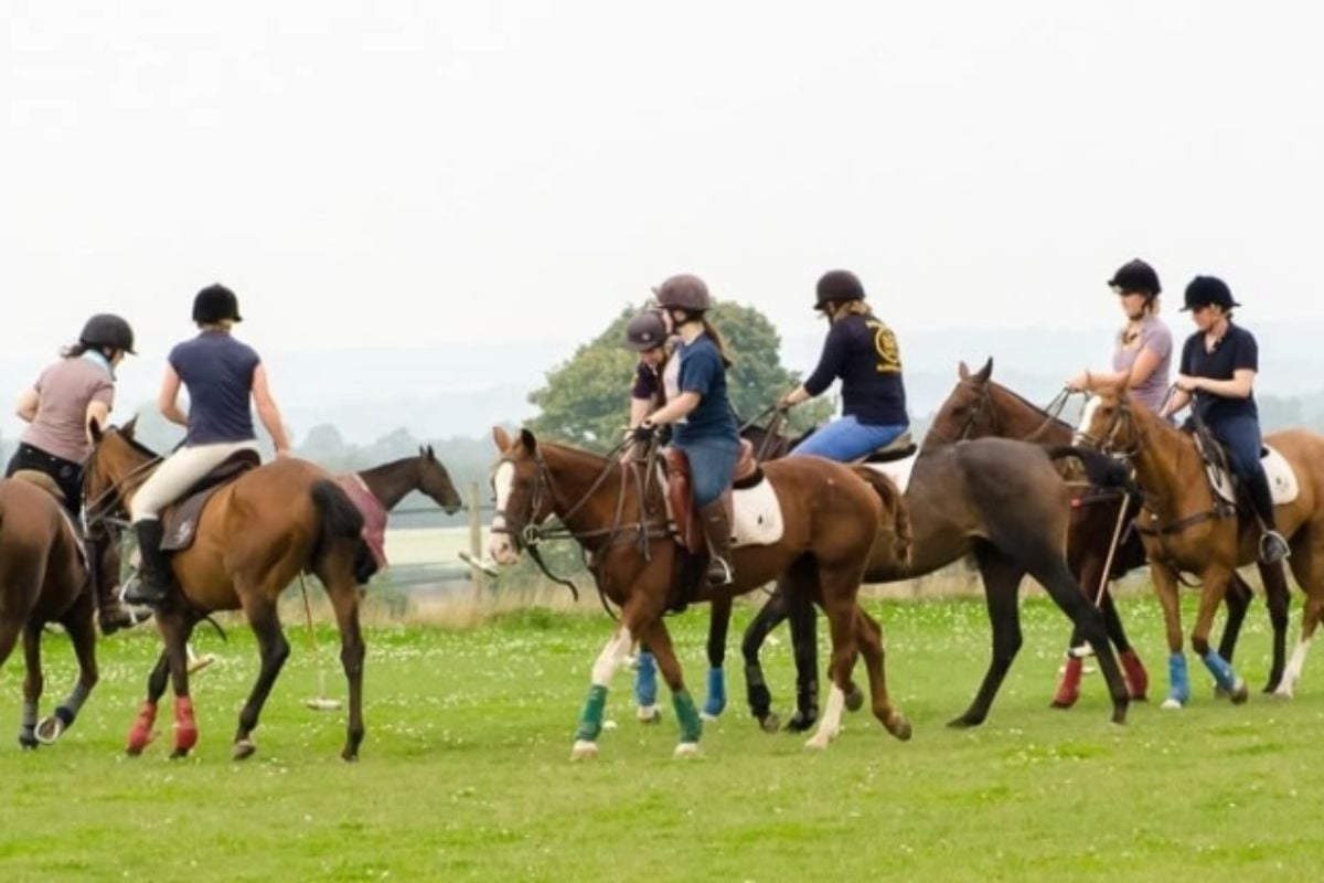 Hampshire Learn To Play Polo Experience Day