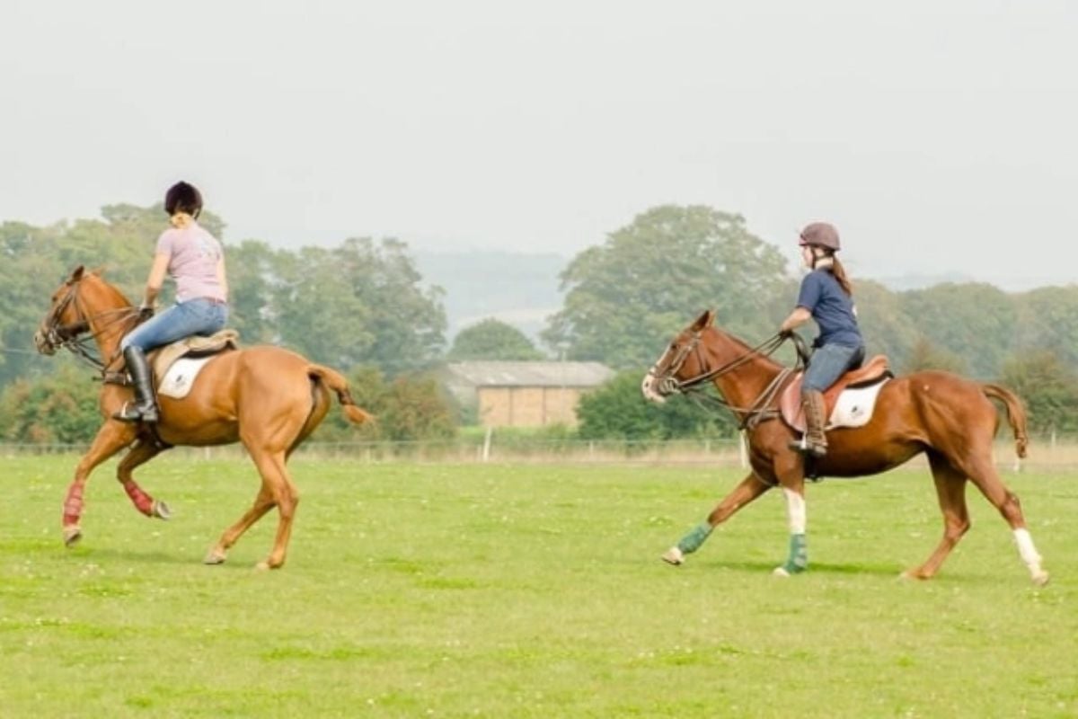 Hampshire Learn To Play Polo Experience Day