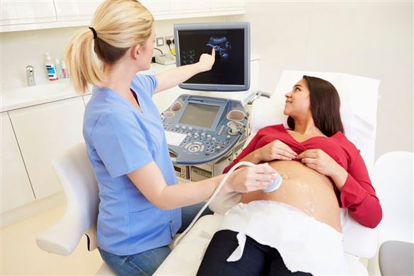 Little Rascal 4D Ultrasound Scan Package