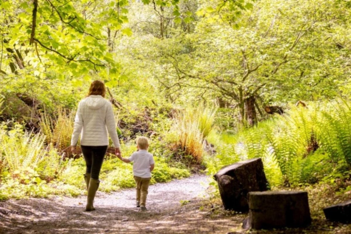 Loch Lomond Faerie Trail for Kids