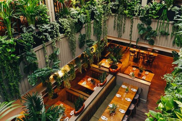 London Dungeon and 2 Course Lunch for Two