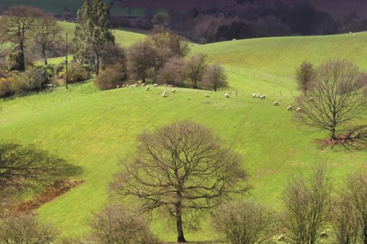 Malvern Hills Private Photography Lesson