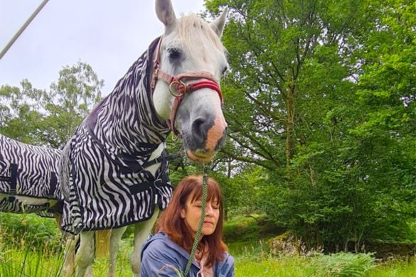 Meditate With Horses Session For 2 People - Cumbria