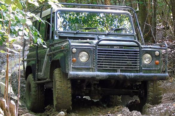 Muddy Great Start