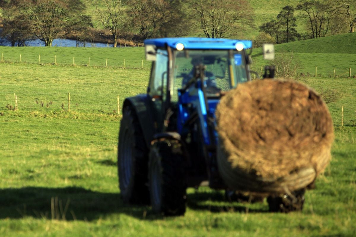 Real Farm Old vs New Tractor Driving