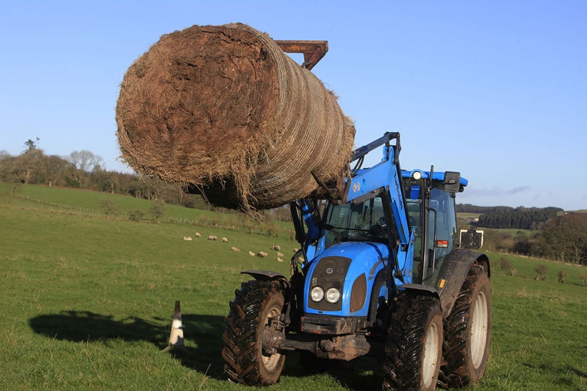 Real Farm Old vs New Tractor Driving