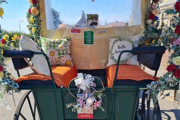 One Hour Carriage Ride with a Deluxe Picnic for Two