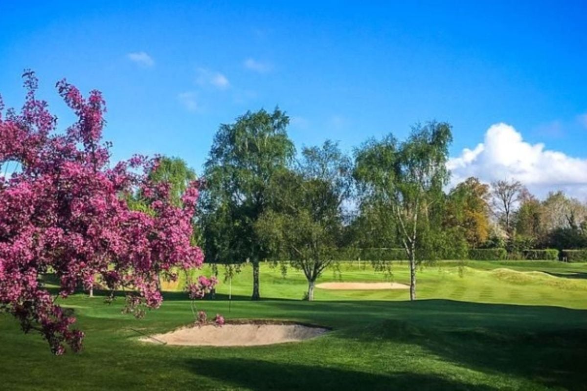 Henley Golf Club One Hour Golf Lesson - Oxfordshire