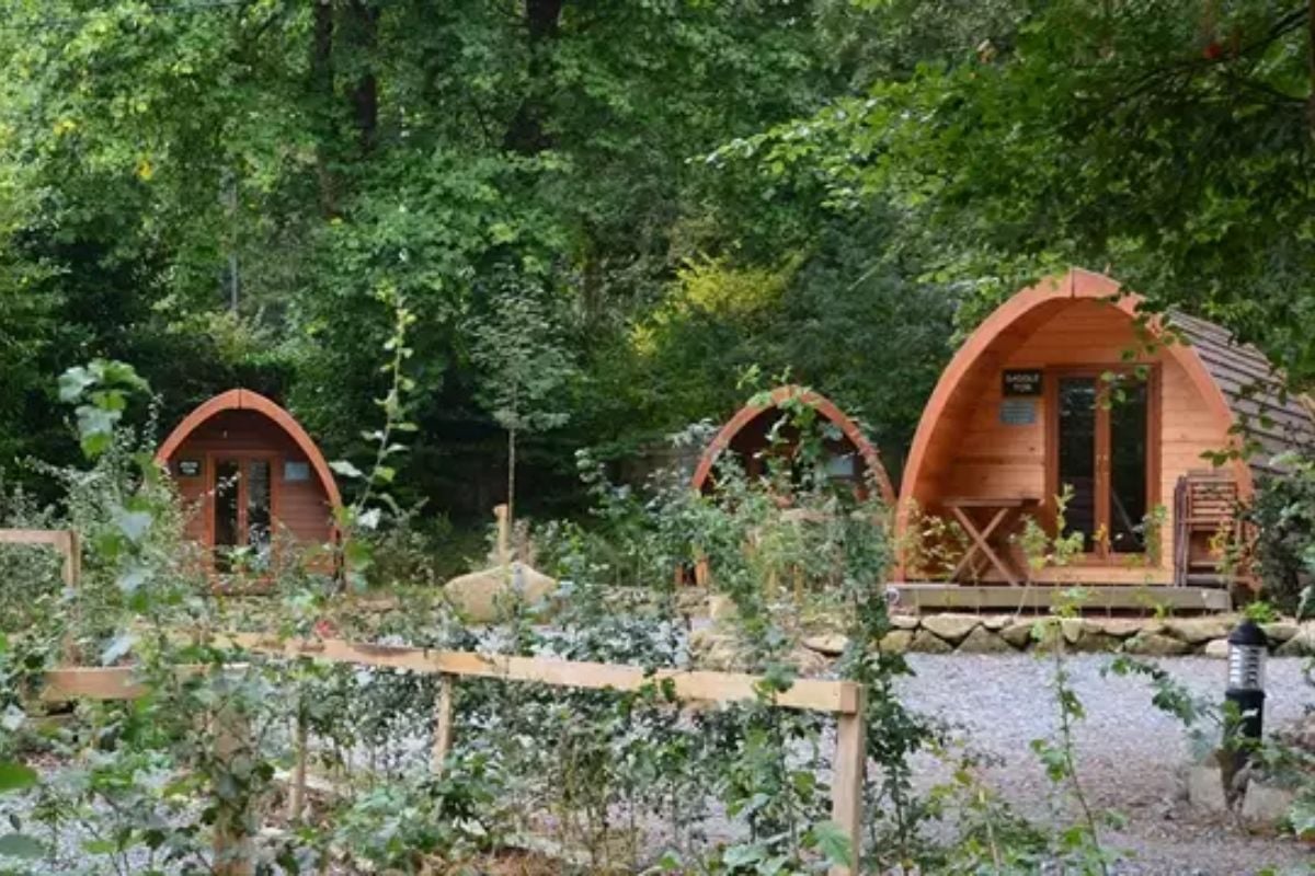 One Night Glamping and Camping Pod Break