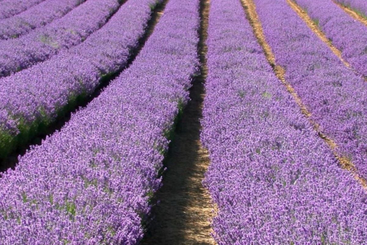 Half Day One-To-One Digital SLR Photography Course