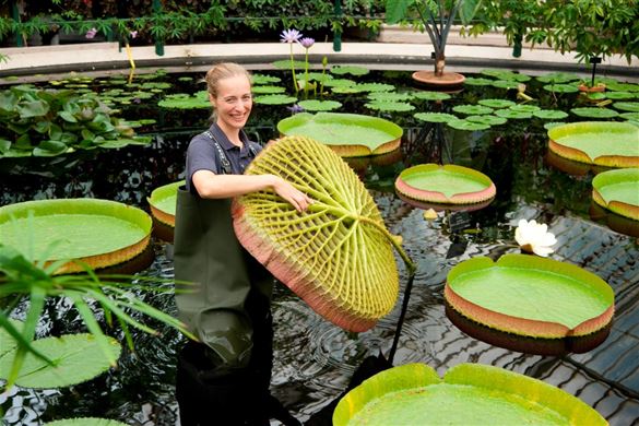 Overnight Stay And London Attraction for Two