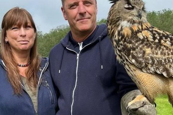 Owl Encounter In Leicestershire