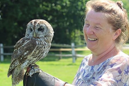 Owl Experience for Two in East Sussex