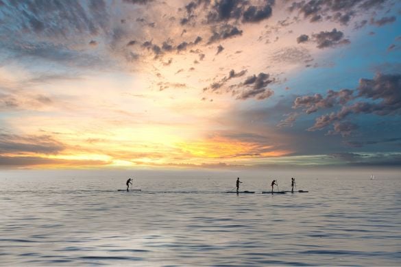 Paddleboard Taster Session- East Sussex