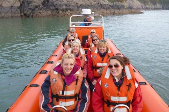 Pembrokeshire Whale and Dolphin Watching Experience