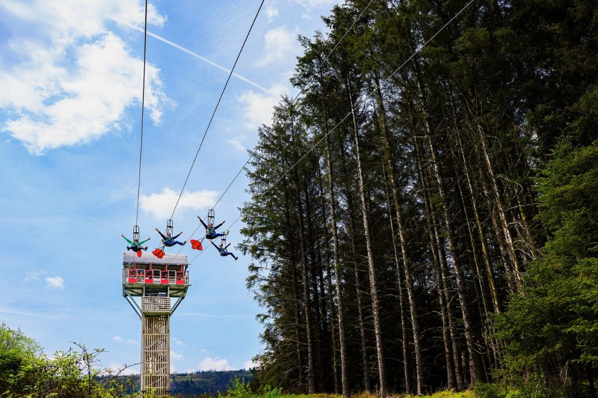 Zip World Phoenix Zip Line Experience