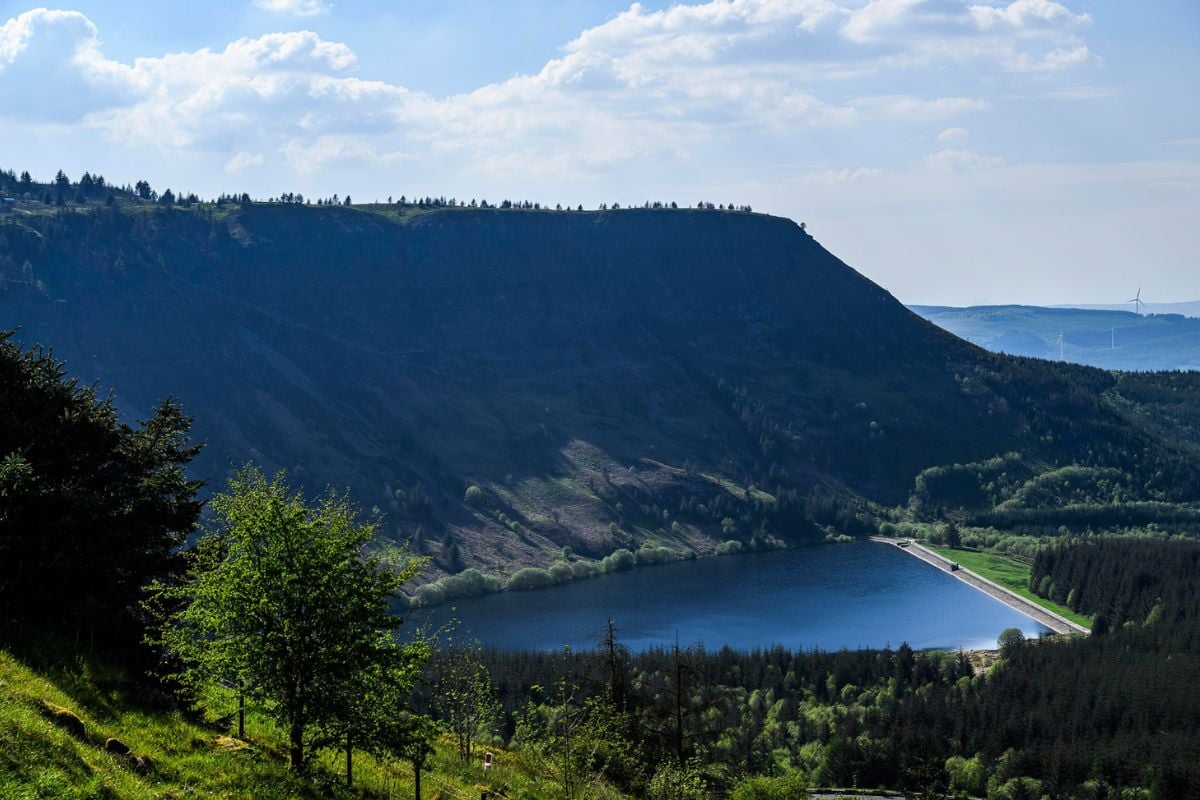 Zip World Phoenix Zip Line Experience