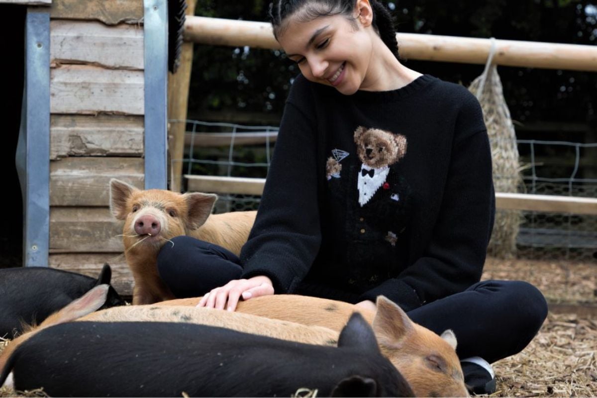Pig Enthusiast Experience for One at Kew Little Pigs Farm