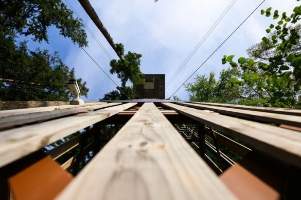 Zip World 100ft Free Fall Plummet at Betws-y-Coed