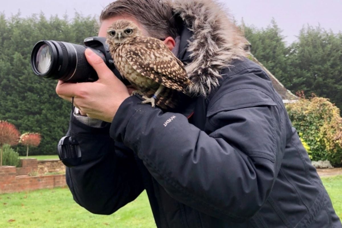 Private Family Owl Experience