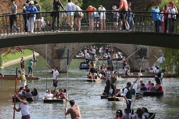 Private Punting Tour in Cambridge