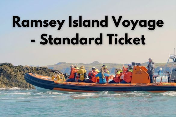 Ramsey Island Voyage - Standard Ticket