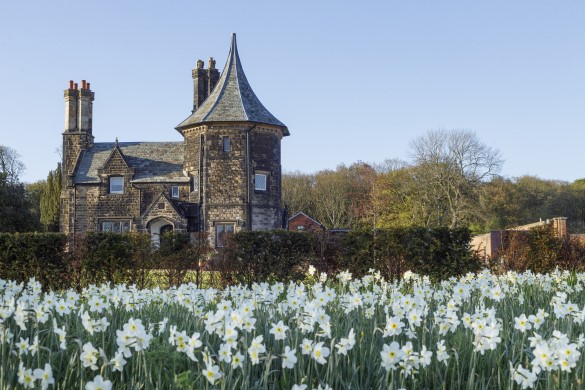 RHS Garden Bridgewater Entry for Two - Manchester