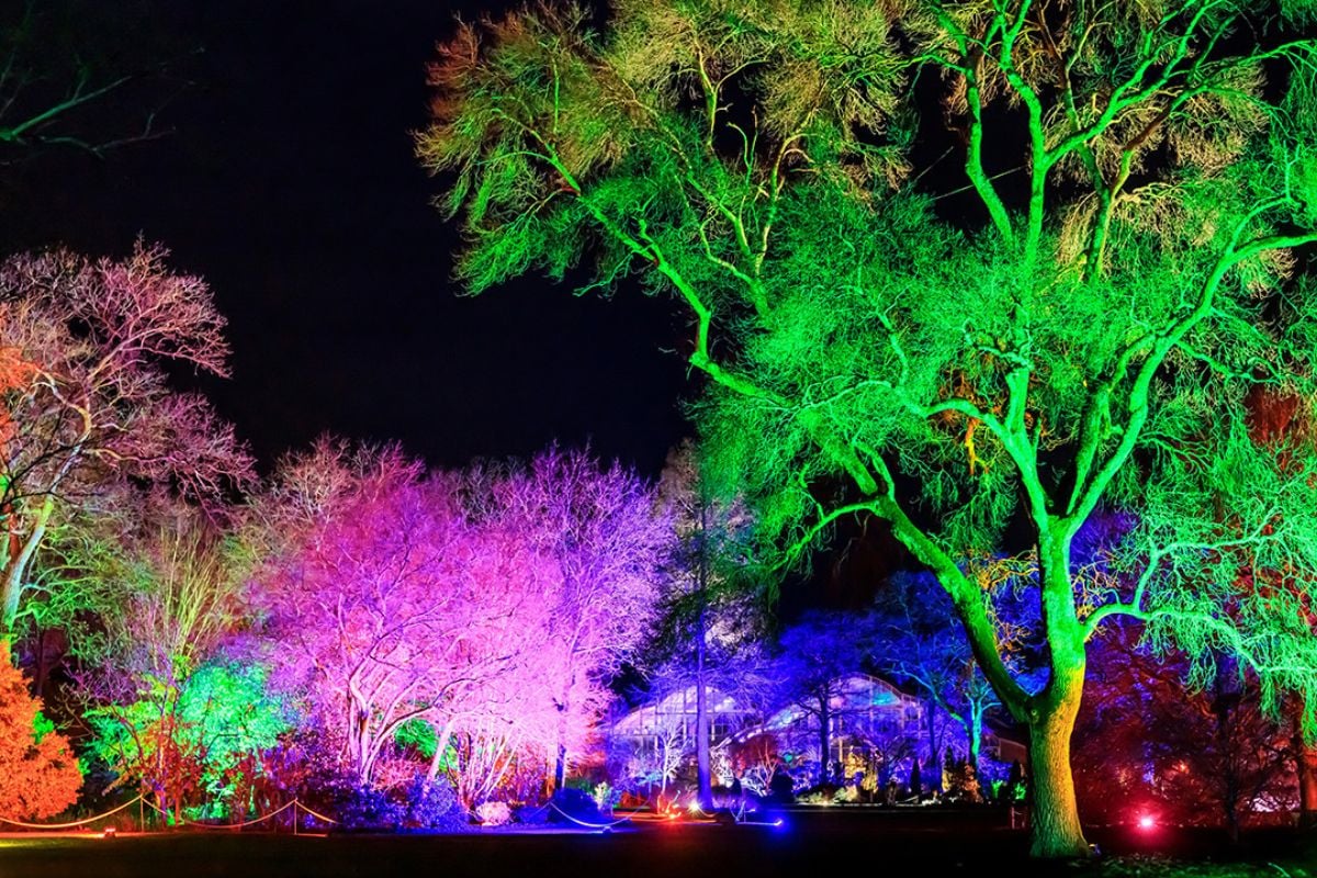 RHS Wisley Glow Tickets for 2 Adults
