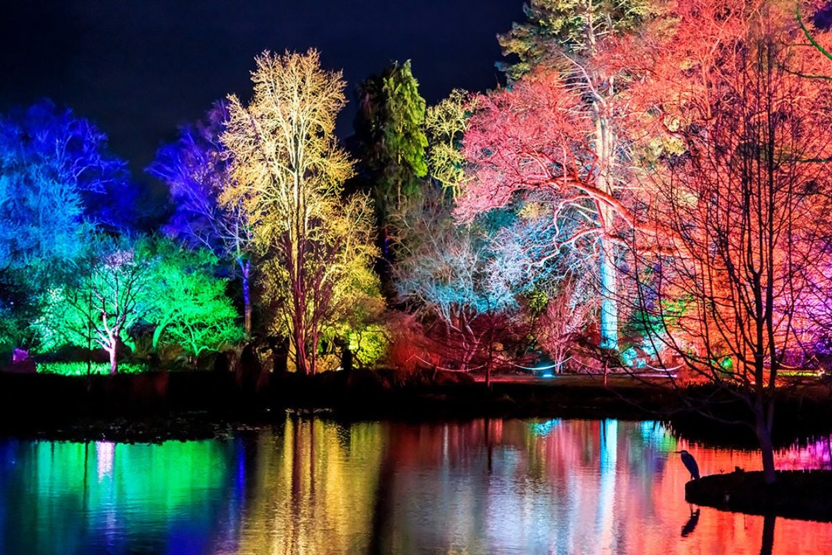 RHS Wisley Glow Tickets for 2 Adults