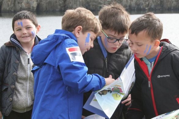 Roam With The Romans Tour Half Day - Northumberland