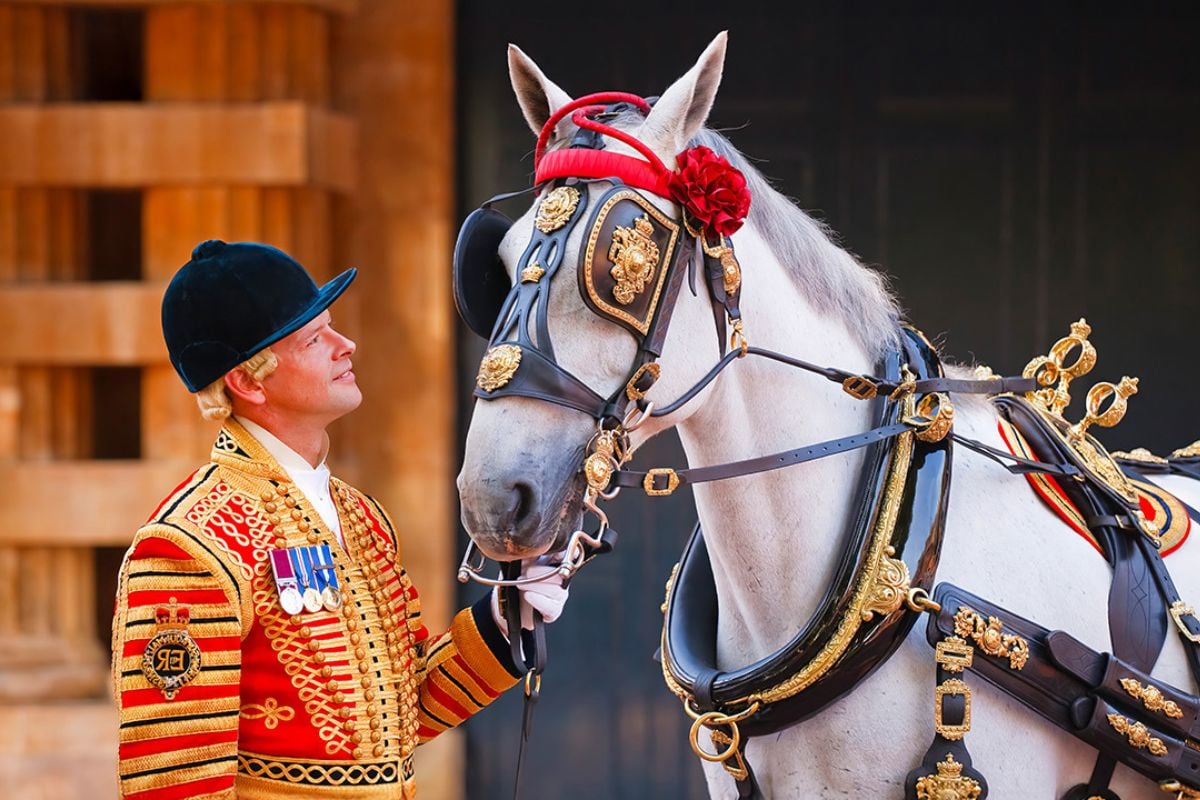 Royal Horses London Day Out and Sparkling Afternoon Tea for Two