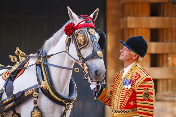 Royal Mews Entry and Afternoon Tea for Two