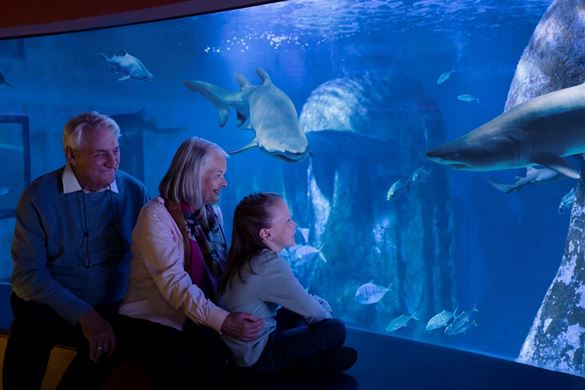 SEA LIFE London Aquarium and 2 Course Lunch for Two
