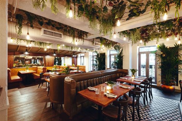 SEA LIFE London Aquarium and 2 Course Lunch for Two